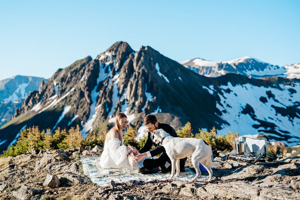A couple has a picnic in the mountains with their dog. 