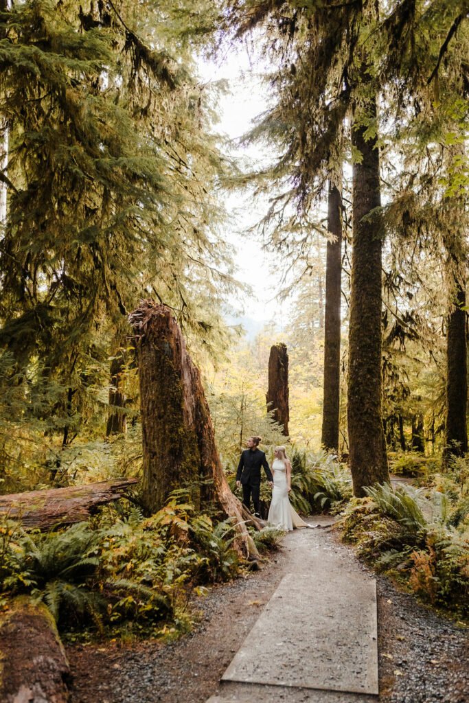 A couple holds hands and walks through the HOH rainforest.